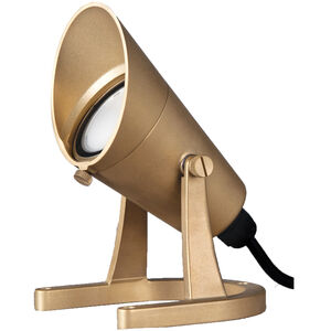 Tyler Natural Brass 5.8 watt LED Spot and Flood Lighting, WAC Landscape
