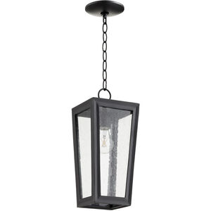 Bravo 1 Light 6.50 inch Outdoor Pendant/Chandelier